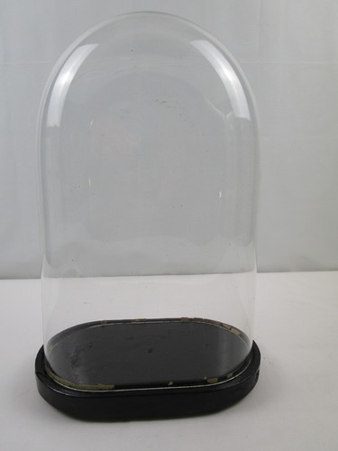 Glasdom stolp mit - glasdom,