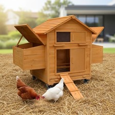 Hühnerstall Hühnerhaus