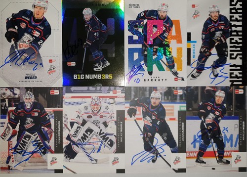 Del playercards 2025 2026 - del, 2025/2026