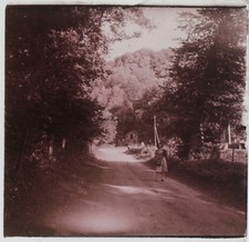 Landschaft Wald Foto Platte