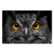 Postereck 2207 Poster Leinwand