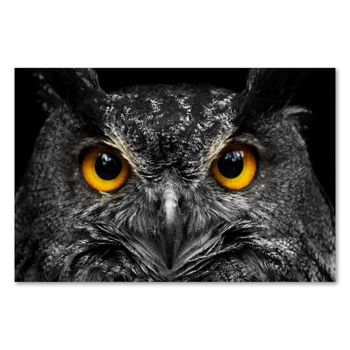 Postereck 2207 poster leinwand - 2207,