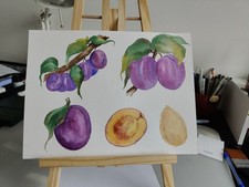 Realistic plum fruit - plum,