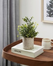 Eglo Kunstpflanze Buxbaum