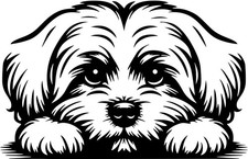 MALTESER Aufkleber -