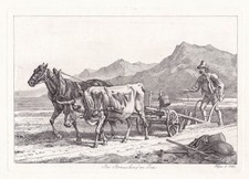 Brannenburg am Inn Bayern Kutsche Johann Adam Klein Radierung etching Jahn 343