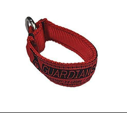 Slingshot guardian - slingshot,