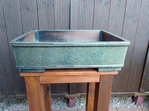 Bonsaischale xxl groß - groß, 52