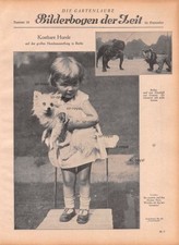 Große Hundeausstellung in