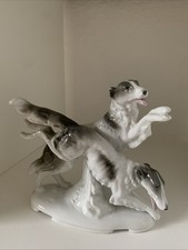 Windhund Greyhound Barsoi