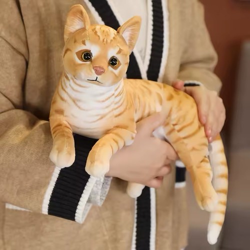 Katze plüschtier - cm,