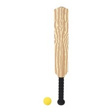 Cricketschläger und Ball-Set