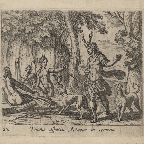 Antonio tempesta ovid - antonio,