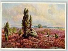 39822599 - 3045 Wilsede sign. de Bruycker, B. Heidegrab