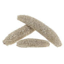 Luffa groß Weiß gewaschen 20 St - Naturschwamm, Deko, Trockenfloristik,