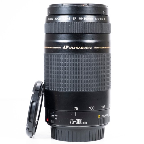 Canon 300mm 5 - canon, 75-300mm