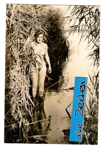 Gerhard riebicke - gerhard,