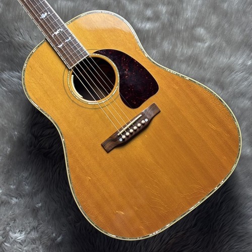 Gibson dlx palisander - j-45,