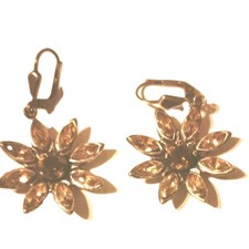 Krikor Ohrringe Braun