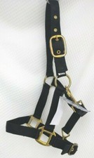 Catago Halfter Nylonhalfter