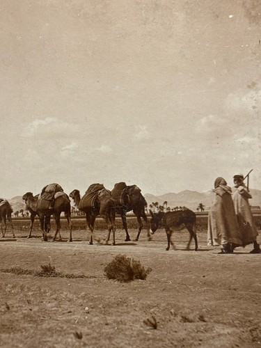 Alte fotografie algerien - alte,