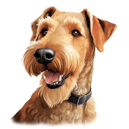 Designer aufkleber sticker - designer,