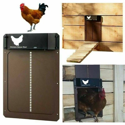 Automatische hühnerstall tür - automatische,