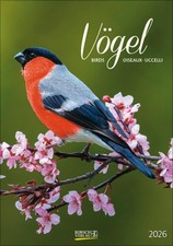 Vögel 2026 