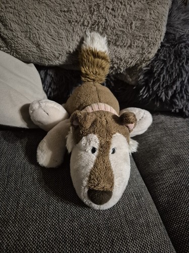 Nici hund husky - husky, liegend