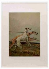 Graf Maud 1864 1943 Der