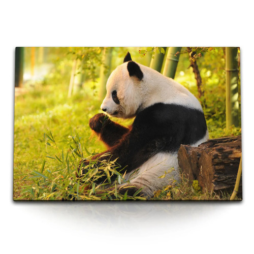 120x80cm wandbild auf - auf, leinwand