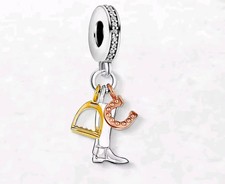 Reitstiefel und Steigbügel