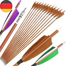 12X 30 Zoll Carbonpfeile