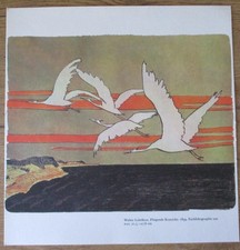 Walter Leistikow Fliegende Kraniche 1899 Farblithographie aus PAN