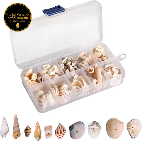 Miniatur muscheldeko 150 200 - muscheldeko, 150-200