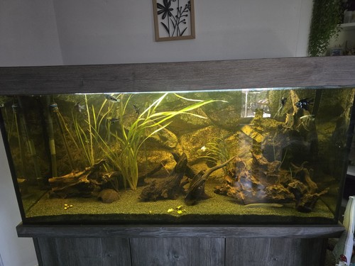 630 liter aquarium - 630-liter-aquarium, 70