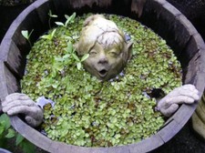 Steinfigur Garten - Wasserspeier “Babett” Koboldkopf mit Händen