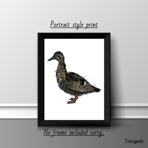 Ente druck poster - druck,