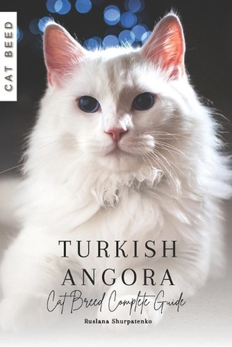 Turkish angora cat breed - turkish, angora: