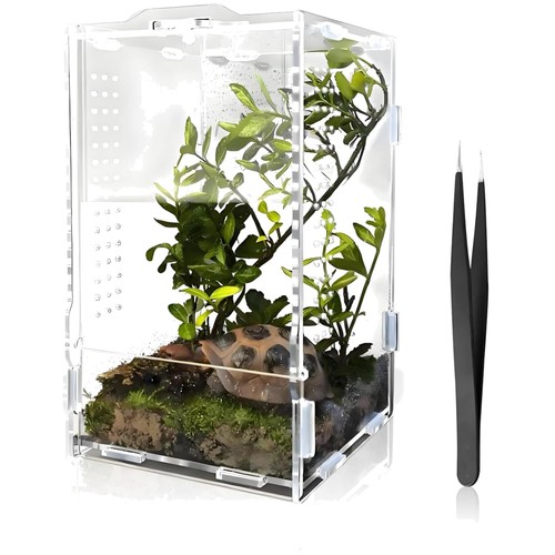 Faunarium terrarium acryl - faunarium,