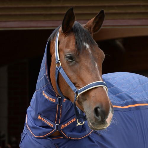 Bucas therapy cooler neck - therapy,