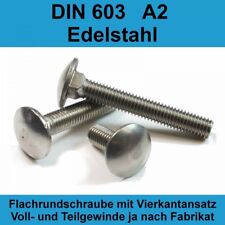 M6 DIN 603 A2 Edelstahl Schloßschrauben Flachrund-Schrauben Flach Stahl M6x