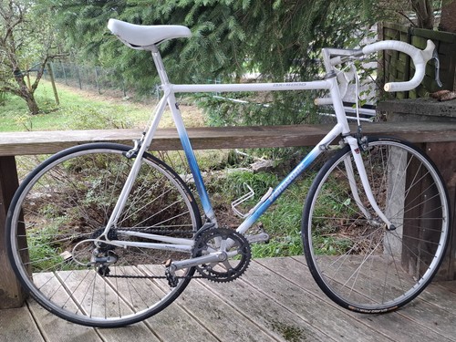 Vintage rennrad panasonic - vintage,