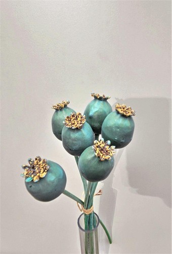 Artplants kunst mohnkapseln - artplants,