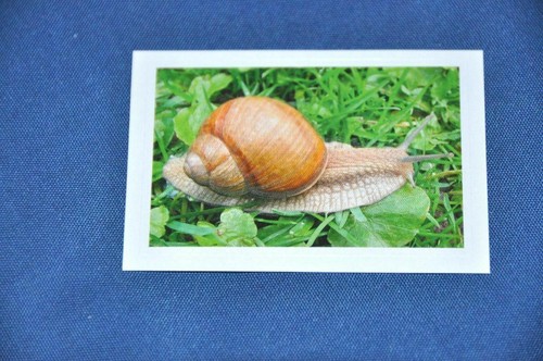 Rewe abenteuer tierwelt - rewe,