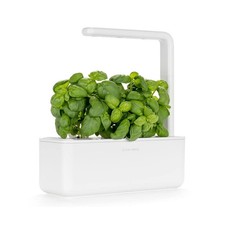 Click and Grow Growbox Smart Garden einfacher als Hydroponisches anzuchtsystem