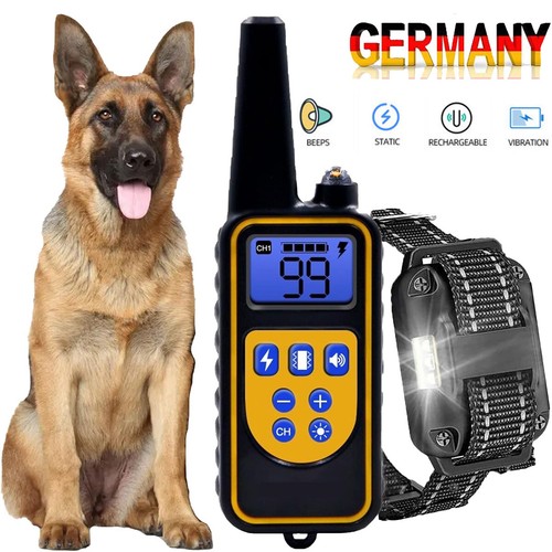 Elektroschock pet dog training - dog,
