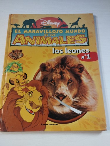Los leones der wunderbare - leones,