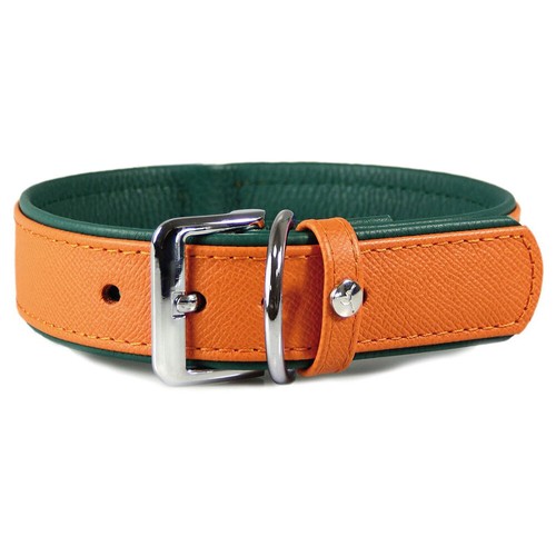 Das lederband hunde - hunde, halsband
