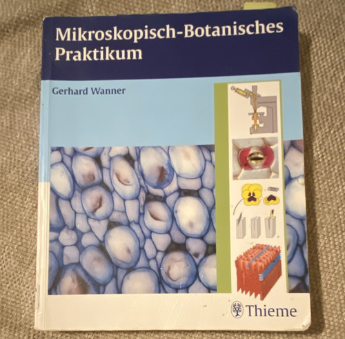 Thieme